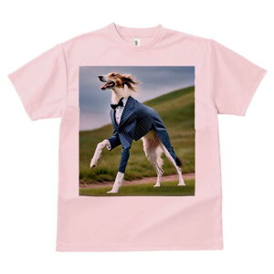 {]C TVc fB[X t@  t  vg JWA 킢 lԗp h ̃fUC ʔ X[c {]C lN^C