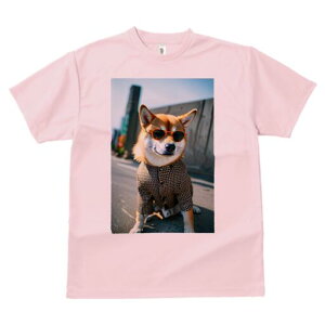 Č TVc fB[X t@  t  vg JWA 킢 lԗp h ̃fUC ʔ TOX Č 