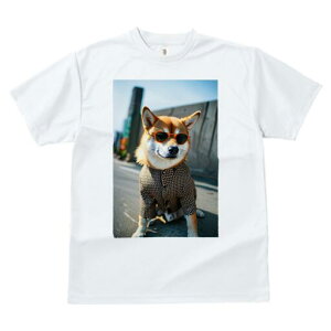 Č TVc fB[X t@  t  vg JWA 킢 lԗp h ̃fUC ʔ TOX Č 