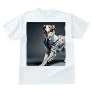 {]C TVc fB[X t@  t  vg JWA 킢 lԗp h ̃fUC ʔ X[c {]C lN^C