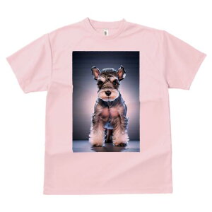 ~j`AViEU[ TVc fB[X t@  t  vg JWA 킢 lԗp h ̃fUC ʔ ~j`AViEU[