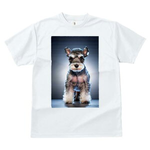 ~j`AViEU[ TVc fB[X t@  t  vg JWA 킢 lԗp h ̃fUC ʔ ~j`AViEU[