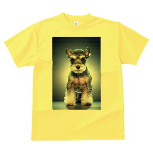 ~j`AViEU[ TVc fB[X t@  t  vg JWA 킢 lԗp h ̃fUC ʔ ~j`AViEU[