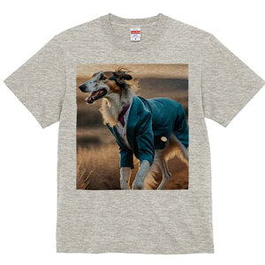 {]C TVc fB[X t@  t  vg JWA 킢 lԗp h ̃fUC ʔ X[c {]C lN^C