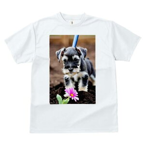 ~j`AViEU[ TVc fB[X t@  t  vg JWA 킢 lԗp h ̃fUC ʔ  ~j`AViEU[ y