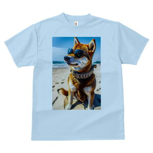 Č TVc fB[X t@  t  vg JWA 킢 lԗp h ̃fUC ʔ TOX Č r[`