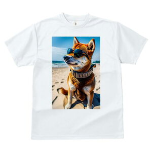 Č TVc fB[X t@  t  vg JWA 킢 lԗp h ̃fUC ʔ TOX Č r[`