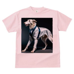 {]C TVc fB[X t@  t  vg JWA 킢 lԗp h ̃fUC ʔ X[c {]C t@bV