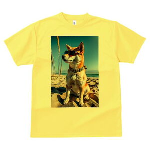 Č TVc fB[X t@  t  vg JWA 킢 lԗp h ̃fUC ʔ TOX Č r[` C