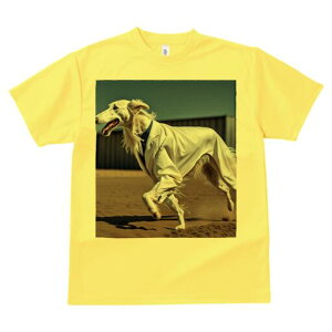 {]C TVc fB[X t@  t  vg JWA 킢 lԗp h ̃fUC ʔ X[c {]C