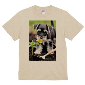 ~j`AViEU[ TVc fB[X t@  t  vg JWA 킢 lԗp h ̃fUC ʔ  ~j`AViEU[  Vx A