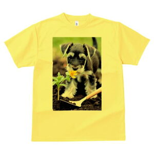 ミニチュアシュナウザー Tシャツ レディース 犬ファン 半袖 春夏 犬柄 プリント カジュアル かわいい 人間用 個性派 ここだけのデザイン 面白 花 ミニチュアシュナウザー 庭 シャベル 植物