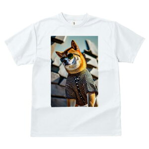 Č TVc fB[X t@  t  vg JWA 킢 lԗp h ̃fUC ʔ TOX Č 