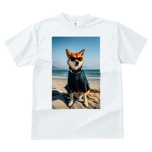 Č TVc fB[X t@  t  vg JWA 킢 lԗp h ̃fUC ʔ TOX Č C r[` Vc