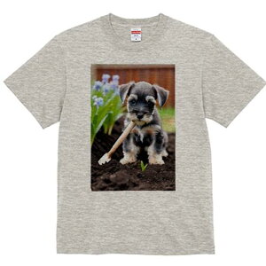 ~j`AViEU[ TVc fB[X t@  t  vg JWA 킢 lԗp h ̃fUC ʔ K[fjO ~j`AViEU[   y