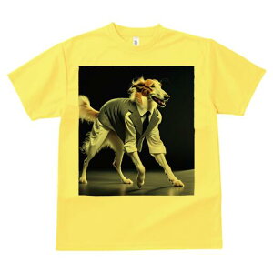 {]C TVc fB[X t@  t  vg JWA 킢 lԗp h ̃fUC ʔ X[c {]C lN^C