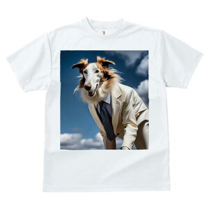 {]C TVc fB[X t@  t  vg JWA 킢 lԗp h ̃fUC ʔ X[c {]C lN^C  _