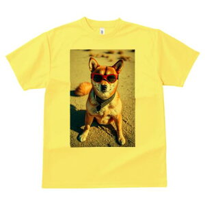 Č TVc fB[X t@  t  vg JWA 킢 lԗp h ̃fUC ʔ TOX Č  l