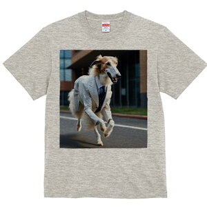 {]C TVc fB[X t@  t  vg JWA 킢 lԗp h ̃fUC ʔ X[c {]C lN^C