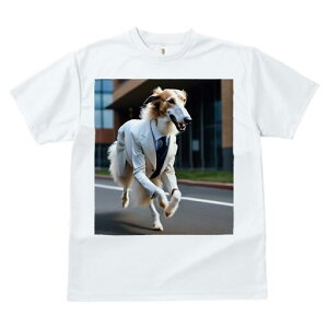 {]C TVc fB[X t@  t  vg JWA 킢 lԗp h ̃fUC ʔ X[c {]C lN^C