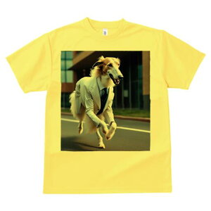 {]C TVc fB[X t@  t  vg JWA 킢 lԗp h ̃fUC ʔ X[c {]C lN^C