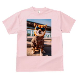 Č TVc fB[X t@  t  vg JWA 킢 lԗp h ̃fUC ʔ TOX Č 