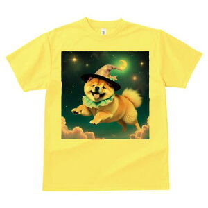 Hc TVc fB[X t@  t  vg JWA 킢 lԗp h ̃fUC ʔ  Hc  _ Xq