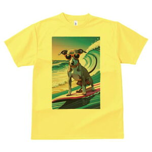 C^AO[nEh TVc fB[X t@  t  vg JWA 킢 lԗp h ̃fUC ʔ T[tB C^AO[nEh C g 