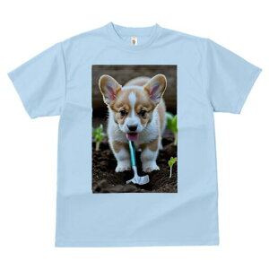 R[M[ TVc fB[X t@  t  vg JWA 킢 lԗp h ̃fUC ʔ  R[M[ y Vx c