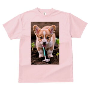 R[M[ TVc fB[X t@  t  vg JWA 킢 lԗp h ̃fUC ʔ  R[M[ y Vx c