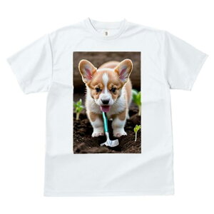 R[M[ TVc fB[X t@  t  vg JWA 킢 lԗp h ̃fUC ʔ  R[M[ y Vx c