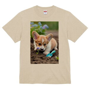 R[M[ TVc fB[X t@  t  vg JWA 킢 lԗp h ̃fUC ʔ  R[M[  XRbv y