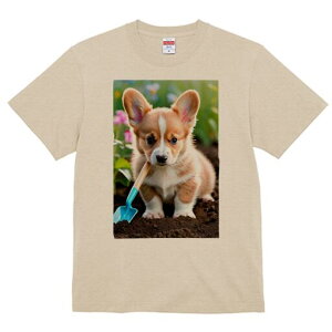 R[M[ TVc fB[X t@  t  vg JWA 킢 lԗp h ̃fUC ʔ  R[M[ Vx 