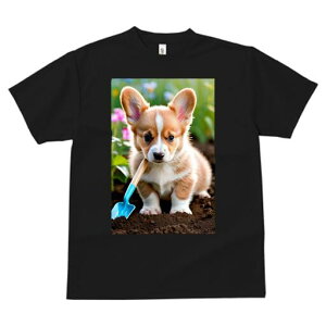 R[M[ TVc fB[X t@  t  vg JWA 킢 lԗp h ̃fUC ʔ  R[M[ Vx 