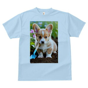 R[M[ TVc fB[X t@  t  vg JWA 킢 lԗp h ̃fUC ʔ  R[M[ Vx 