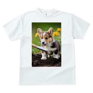 R[M[ TVc fB[X t@  t  vg JWA 킢 lԗp h ̃fUC ʔ K[fjO R[M[  A c