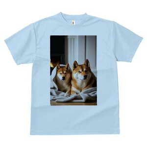 Č TVc fB[X t@  t  vg JWA 킢 lԗp h ̃fUC ʔ gF Č ѕz