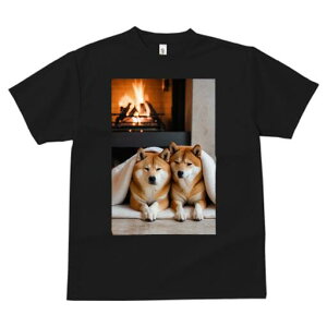 Č TVc fB[X t@  t  vg JWA 킢 lԗp h ̃fUC ʔ gF Č ѕz g bNX