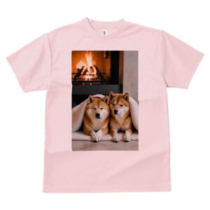 Č TVc fB[X t@  t  vg JWA 킢 lԗp h ̃fUC ʔ gF Č ѕz g bNX