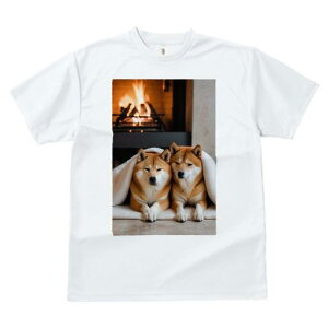 Č TVc fB[X t@  t  vg JWA 킢 lԗp h ̃fUC ʔ gF Č ѕz g bNX