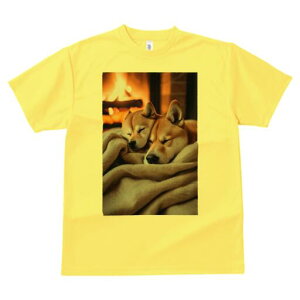 Č TVc fB[X t@  t  vg JWA 킢 lԗp h ̃fUC ʔ gF Č ѕz ʂʂ