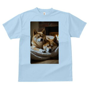 Č TVc fB[X t@  t  vg JWA 킢 lԗp h ̃fUC ʔ gF Č ѕz x 