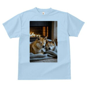 Č TVc fB[X t@  t  vg JWA 킢 lԗp h ̃fUC ʔ gF Č ѕz  g