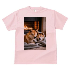 Č TVc fB[X t@  t  vg JWA 킢 lԗp h ̃fUC ʔ gF Č ѕz  g