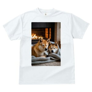 Č TVc fB[X t@  t  vg JWA 킢 lԗp h ̃fUC ʔ gF Č ѕz  g