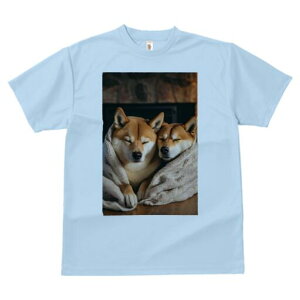 Č TVc fB[X t@  t  vg JWA 킢 lԗp h ̃fUC ʔ ѕz Č gF