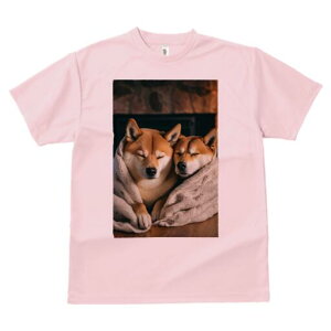 Č TVc fB[X t@  t  vg JWA 킢 lԗp h ̃fUC ʔ ѕz Č gF