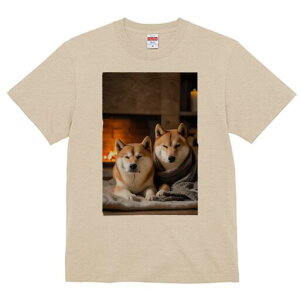 Č TVc fB[X t@  t  vg JWA 킢 lԗp h ̃fUC ʔ gF Č ѕz  ~