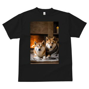 Č TVc fB[X t@  t  vg JWA 킢 lԗp h ̃fUC ʔ gF Č ѕz  ~