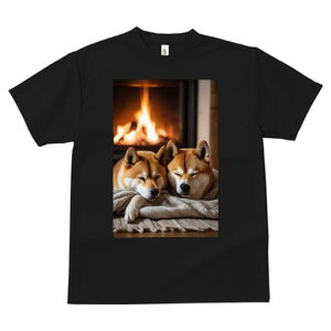 Č TVc fB[X t@  t  vg JWA 킢 lԗp h ̃fUC ʔ gF Č  ѕz g